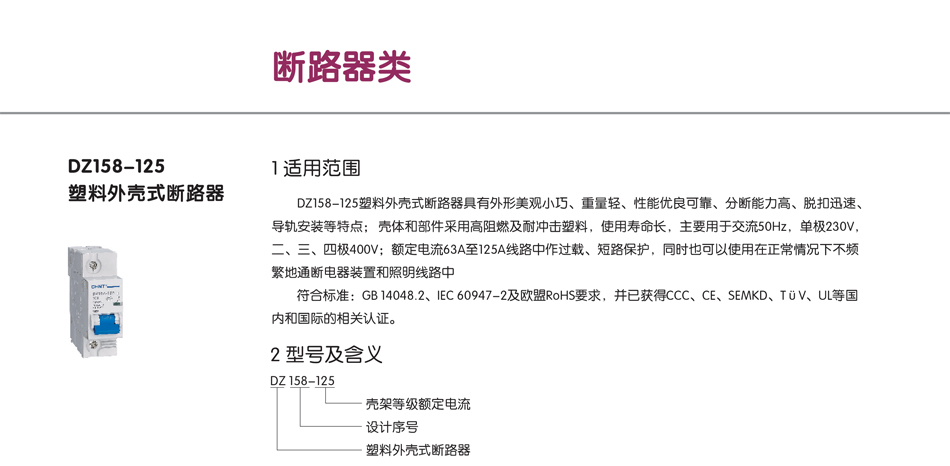 dz158-125斷路器；正泰漏電開關